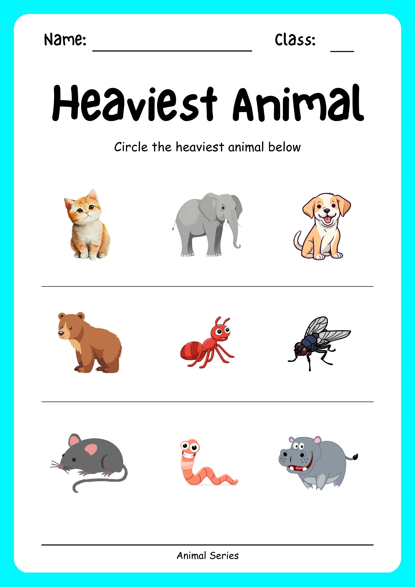 Animal Series - Image 2